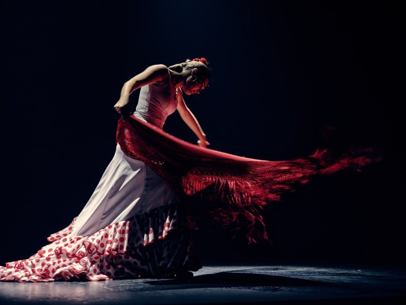 Flamenco Flamenco